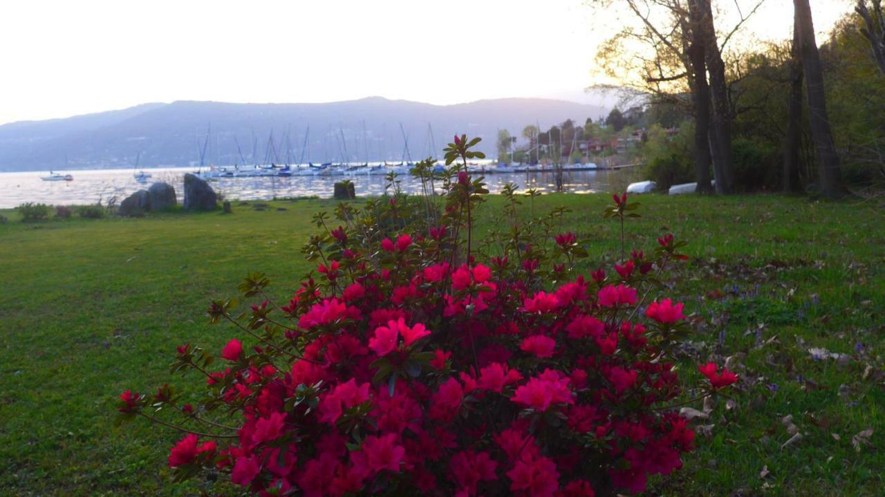 The Gulf Villa - Lago Maggiore Monvalle Exterior foto