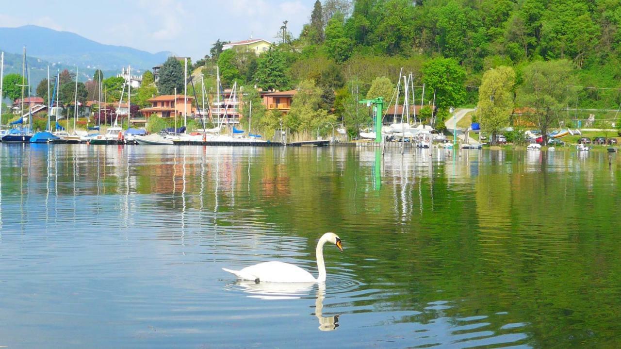 The Gulf Villa - Lago Maggiore Monvalle Exterior foto