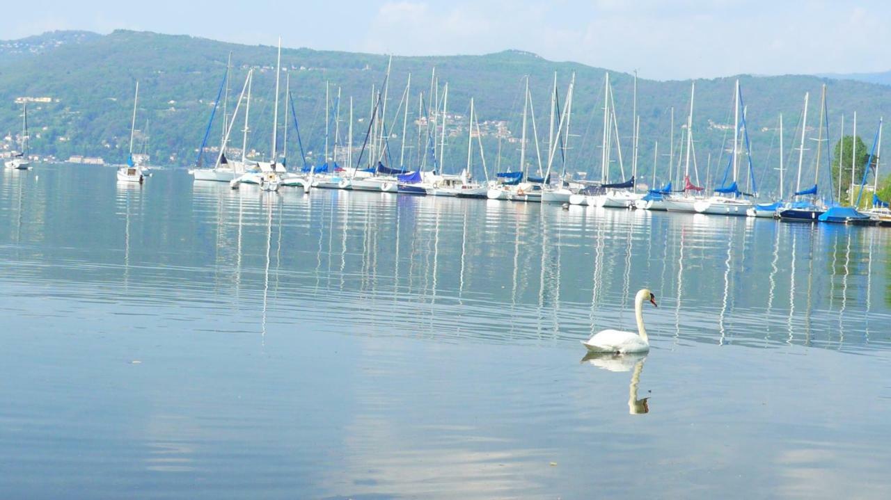 The Gulf Villa - Lago Maggiore Monvalle Exterior foto
